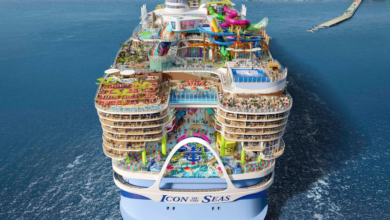 icon of the seas capacity